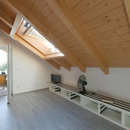 Sunflower Apartment *